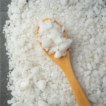 Ajinomoto MSG - Global Gourmet Market