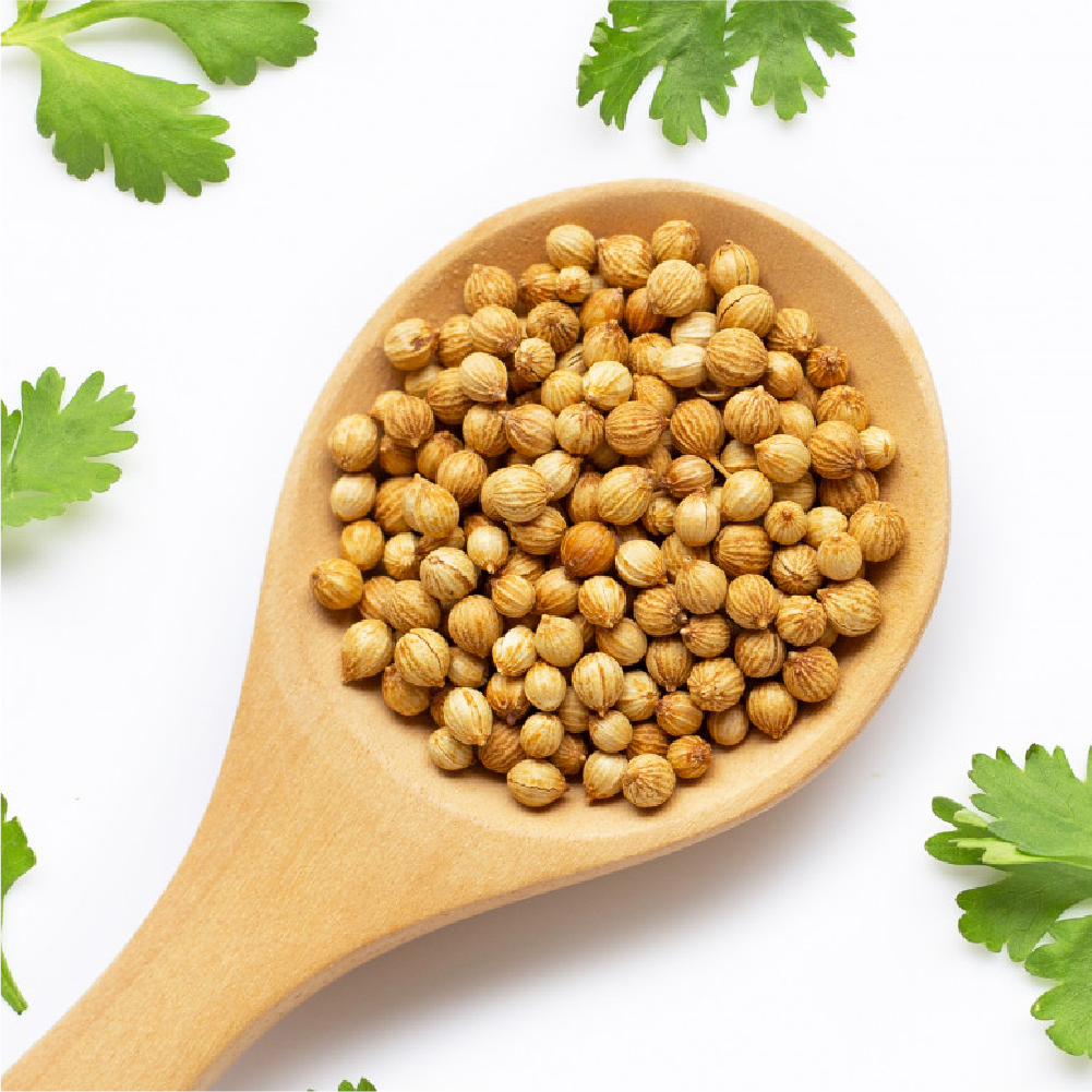 Cilantro Entero 50 gr - Global Gourmet Market