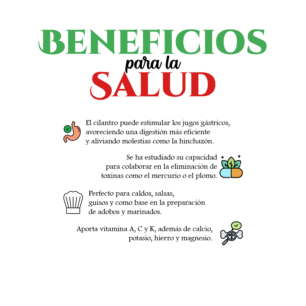 Cilantro Entero 50 gr - Global Gourmet Market