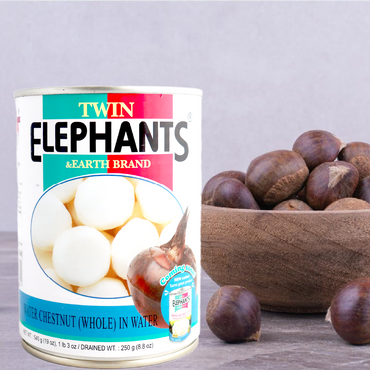 Castañas de Agua Elephants 540 gr - Global Gourmet Market