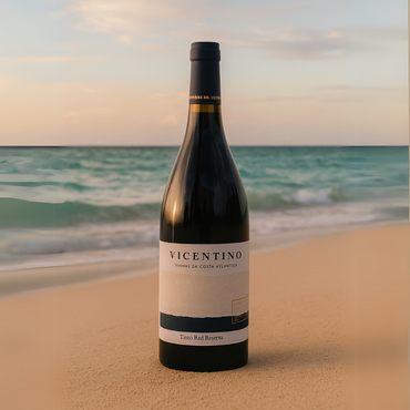 Vino Tinto Reserva Foggy