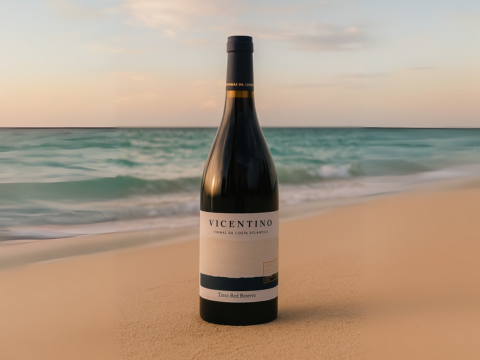 Vicentino: El Vino que Nace entre la Niebla Atlántica y el Corazón del Alentejo