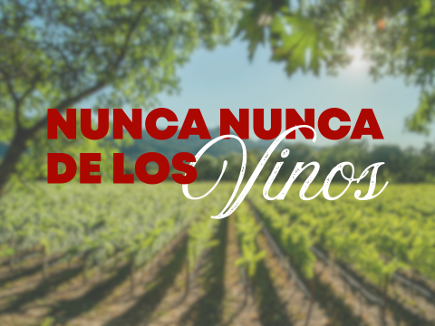 Los “Nunca Nunca” del Vino (y Cómo Disfrutarlo Mejor Sin Ser un Experto)