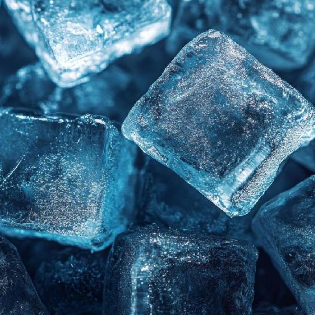 Congelados