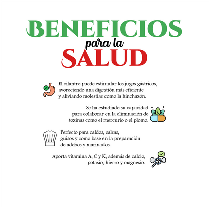 Cilantro Entero 50 gr