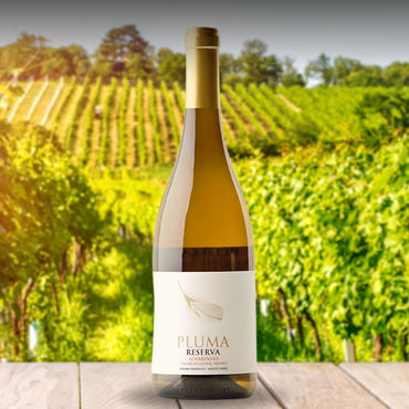 VINO BLANCO PLUMA RESERVA ALVARINHO