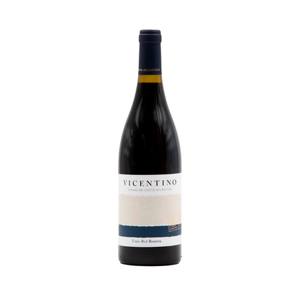 Vino Tinto Reserva Foggy